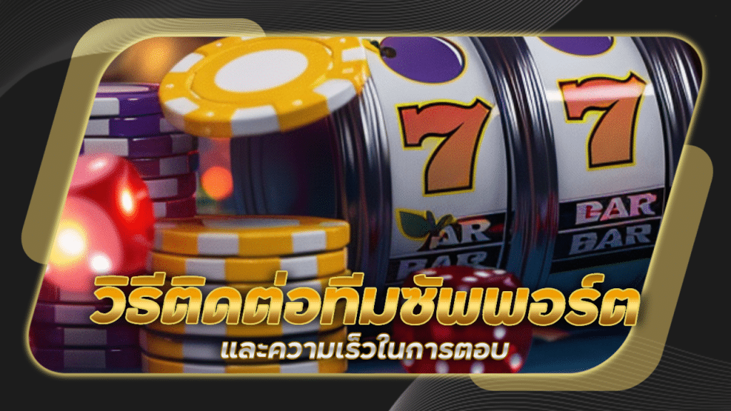 วิธีติดต่อทีมซัพพอร์ต WDC888 และความเร็วในการตอบ