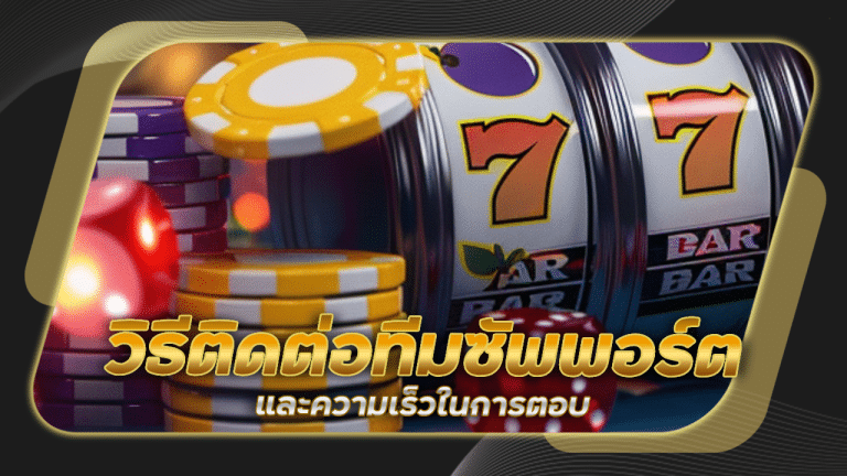 วิธีติดต่อทีมซัพพอร์ต WDC888 และความเร็วในการตอบ